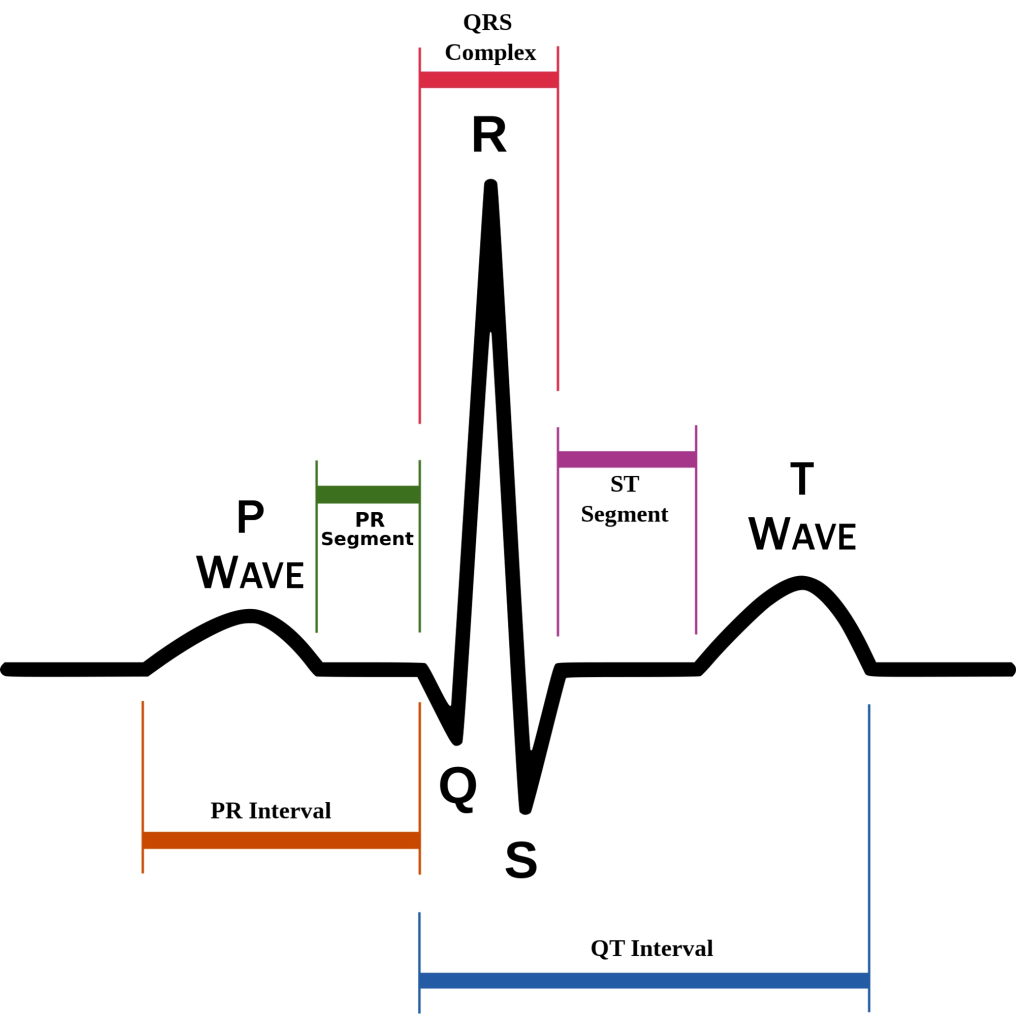 Modern Pulse Diagnosis: Mobile ECG Based – Asian Therapies